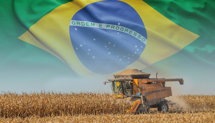 Abertura de mercados agrícolas: o que os números recordes do Brasil exigem da sua empresa