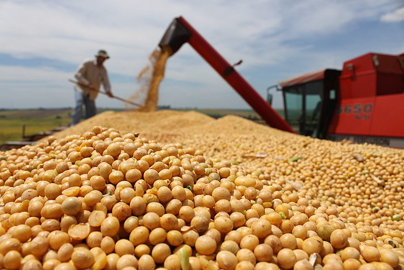 abertura de mercados agrícolas